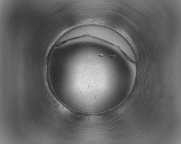 X0000070180992200606091502