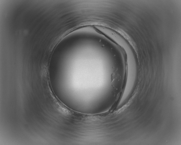 X0000070180993200606091502