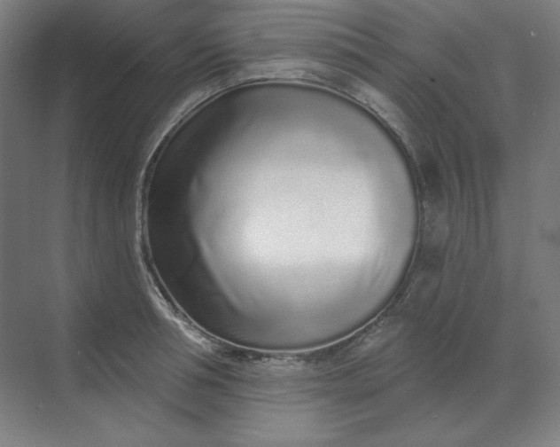 X0000070180994200606091502