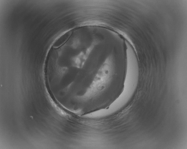 X0000070180995200606091502