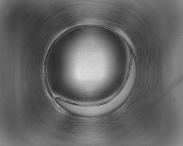 X0000070180996200606091502