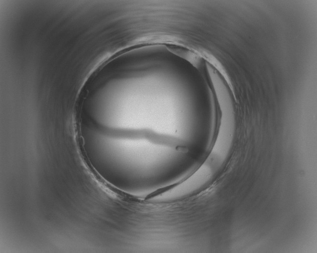 X0000070180997200606091502