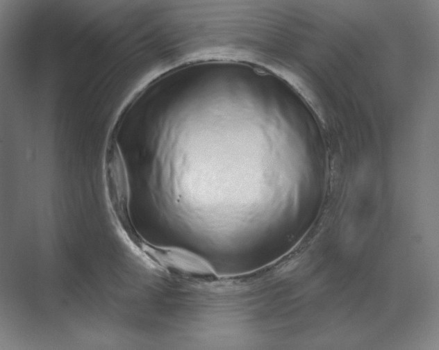 X0000070180998200606091502