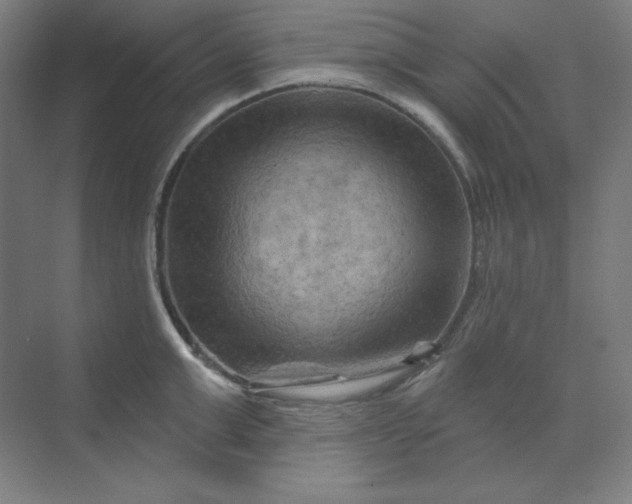 X0000070180999200606091502