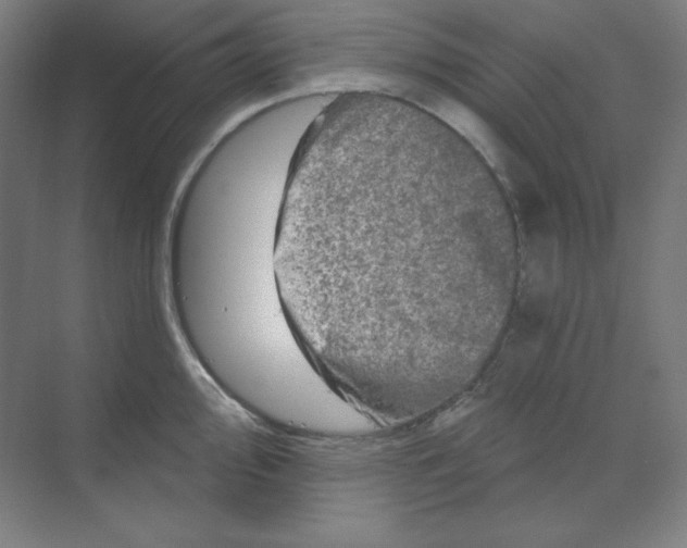 X0000070181000200606091502