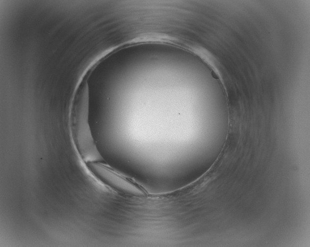 X0000070181003200606091502