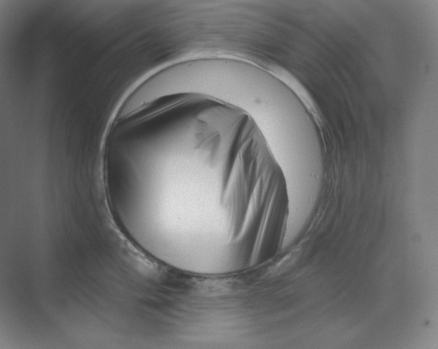 X0000070181004200606091502