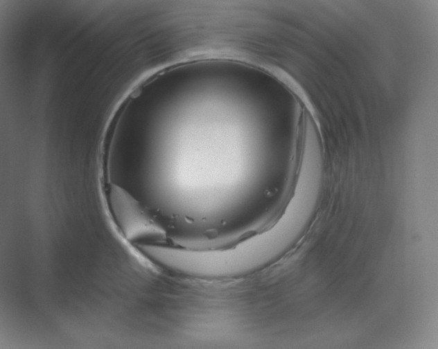 X0000070181005200606091502