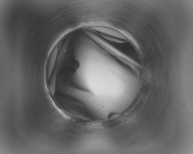 X0000070181006200606091502