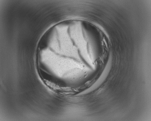 X0000070181007200606091502