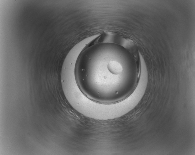 X0000070181010200606091501