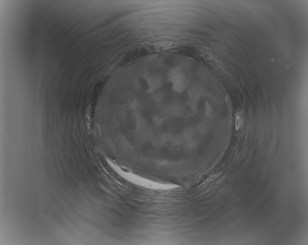 X0000070181011200606091501