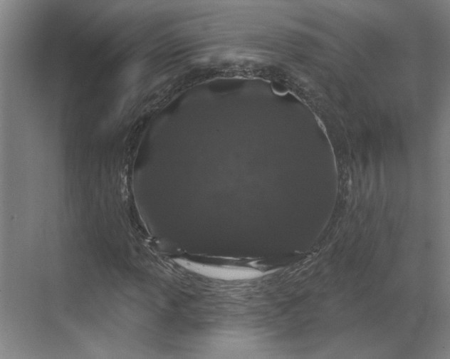 X0000070181013200606091501