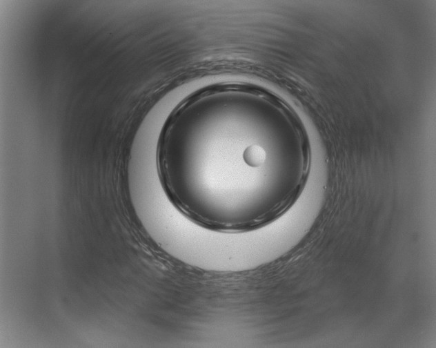 X0000070181014200606091501