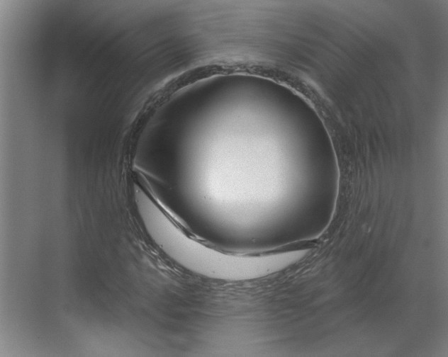 X0000070181016200606091501