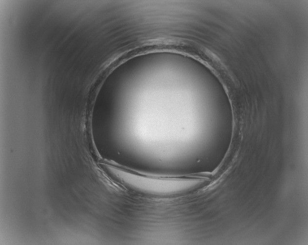 X0000070181017200606091501