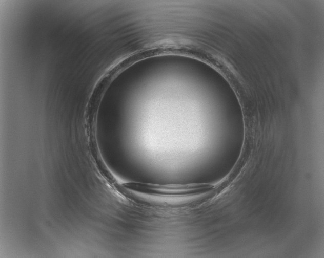 X0000070181018200606091501