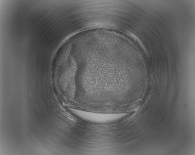 X0000070181019200606091501