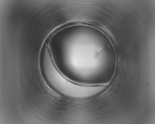 X0000070181020200606091501