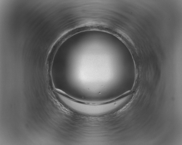 X0000070181021200606091501