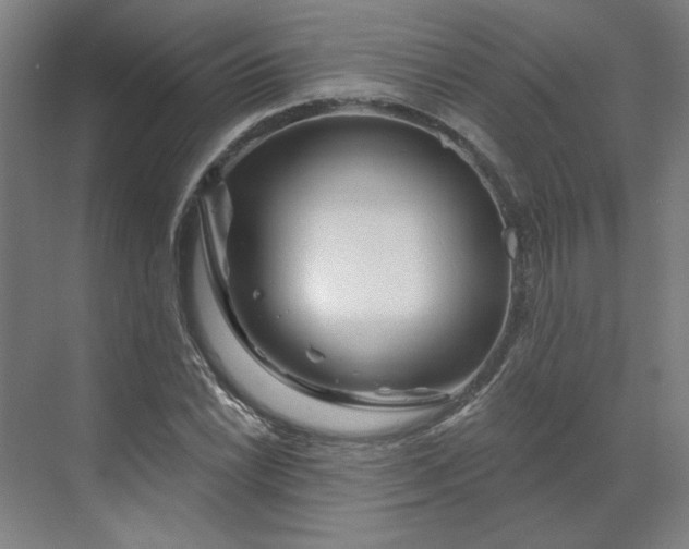 X0000070181022200606091501