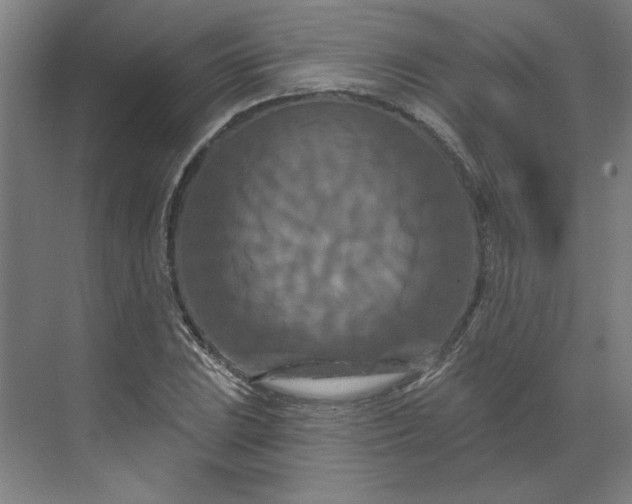 X0000070181023200606091501