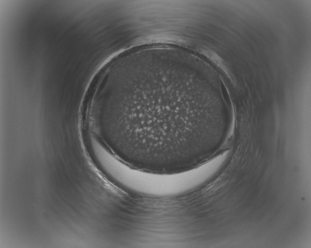 X0000070181024200606091501