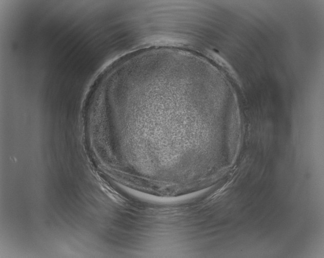 X0000070181027200606091501