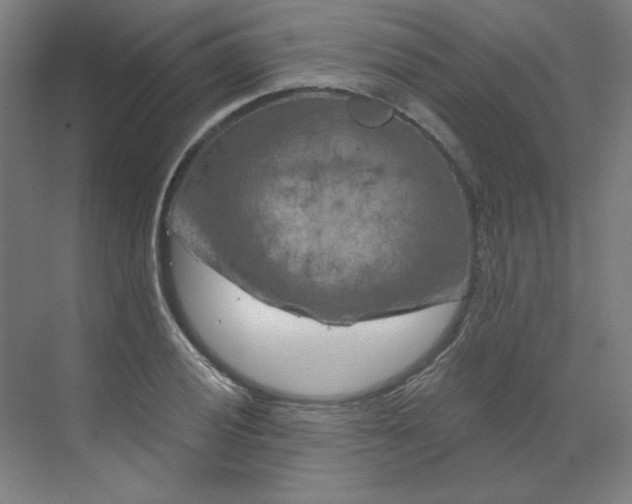 X0000070181028200606091501