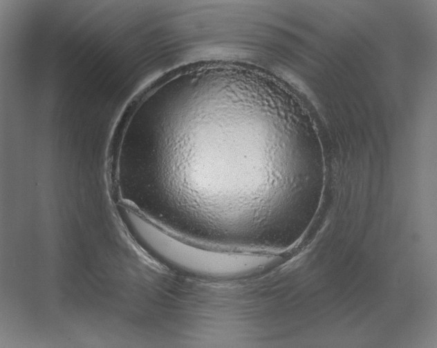 X0000070181029200606091501