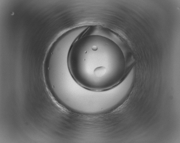 X0000070181030200606091501