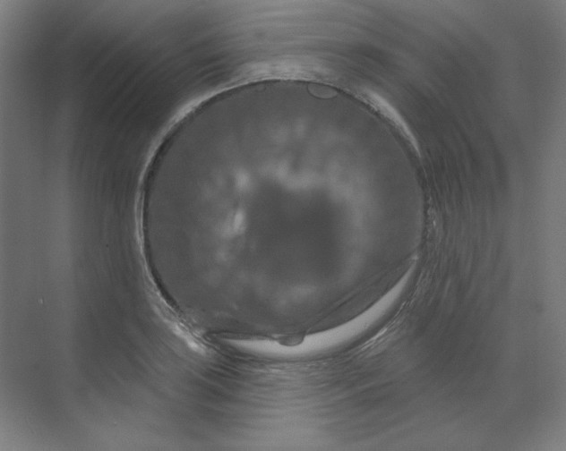 X0000070181035200606091501