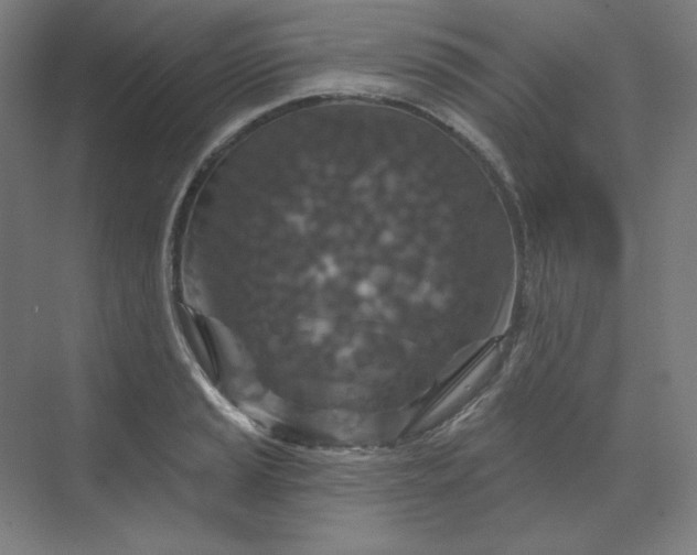 X0000070181037200606091501