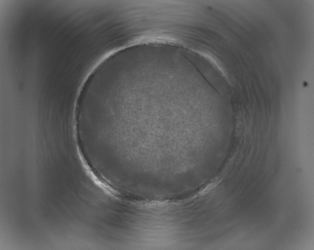 X0000070181038200606091501