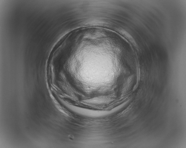 X0000070181039200606091501