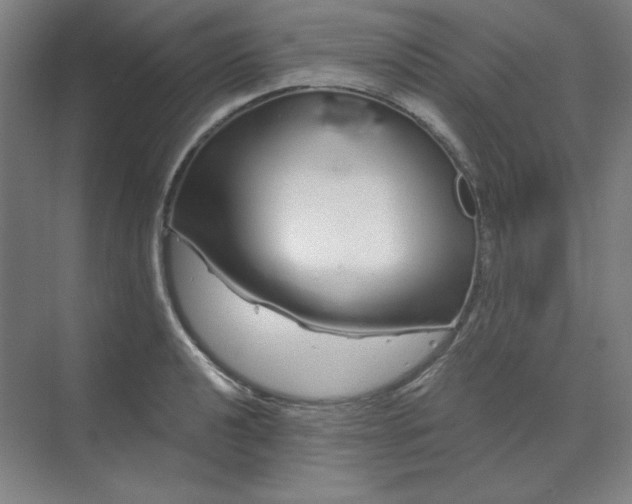 X0000070181040200606091501