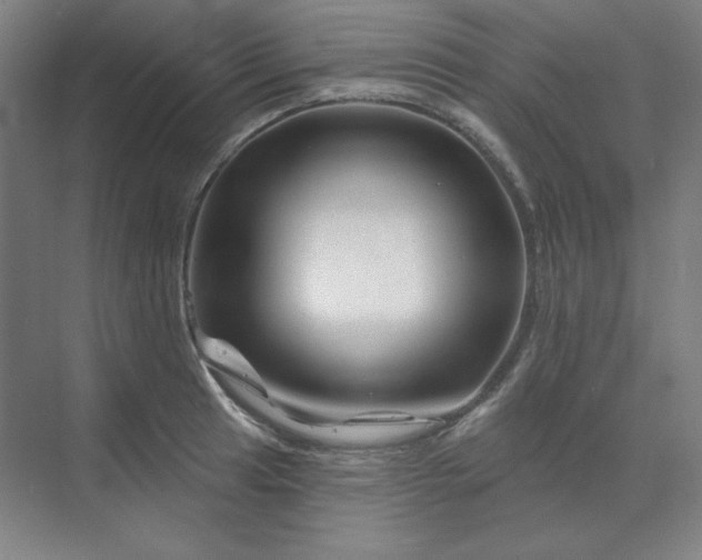 X0000070181041200606091501