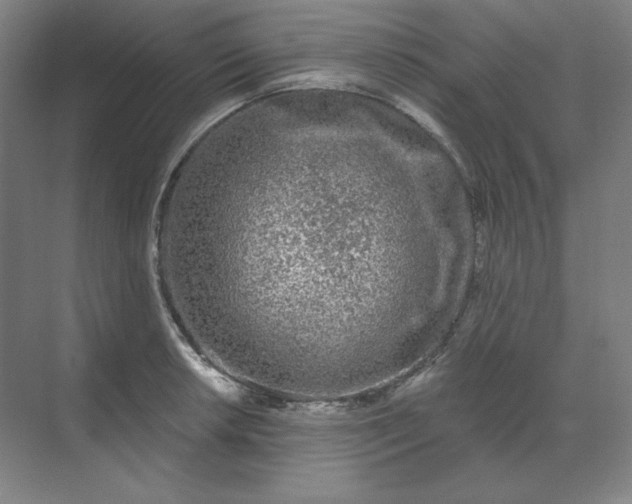 X0000070181042200606091501