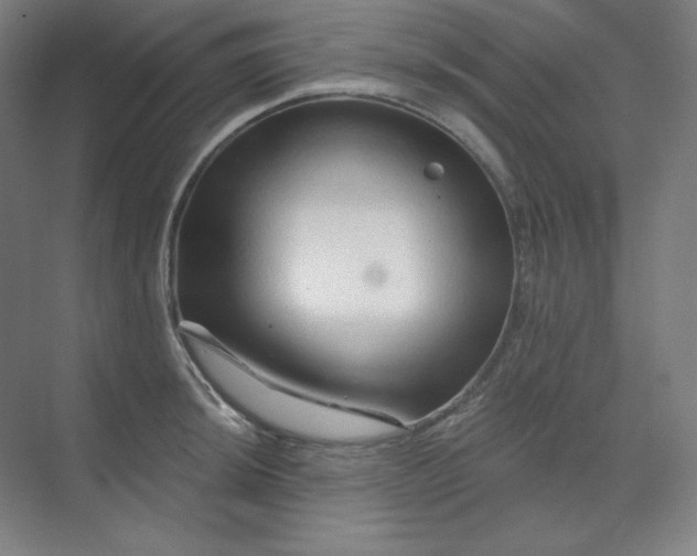 X0000070181044200606091501