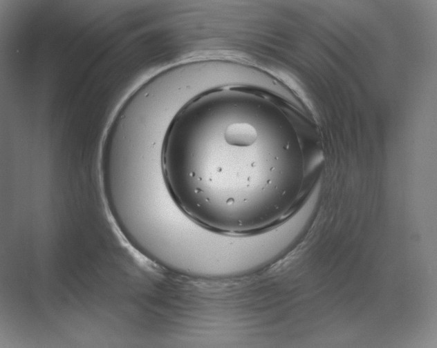 X0000070181046200606091501