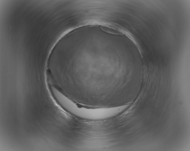 X0000070181048200606091501