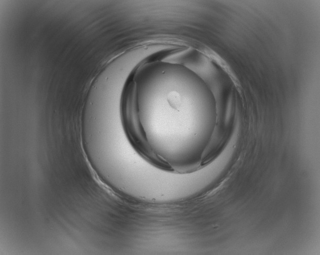 X0000070181049200606091501