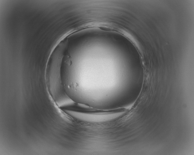 X0000070181050200606091501