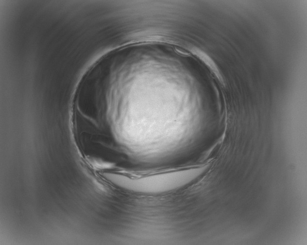 X0000070181051200606091501