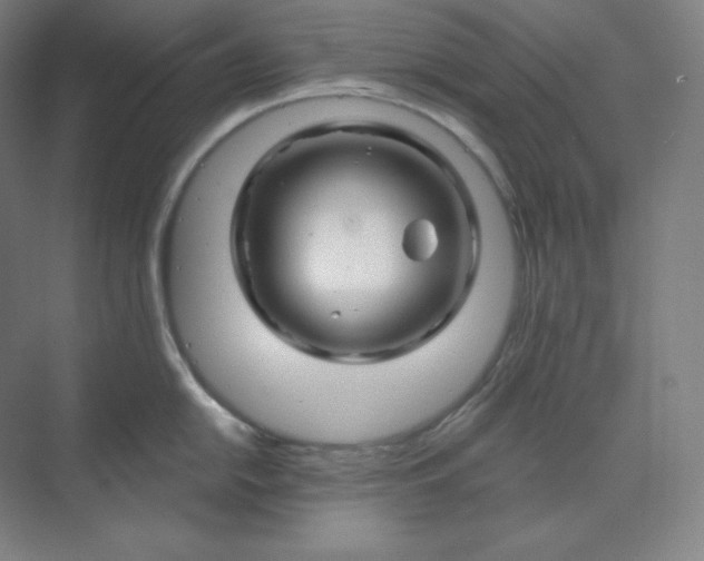 X0000070181054200606091501