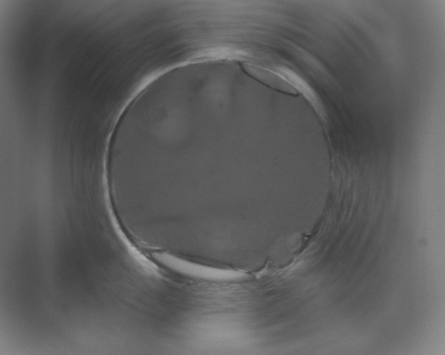 X0000070181055200606091501