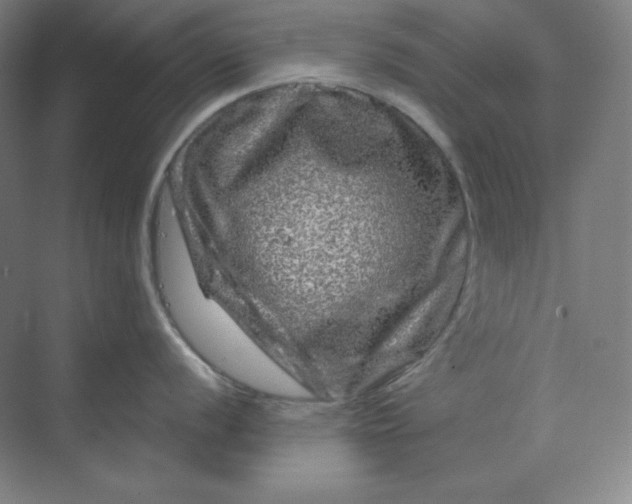 X0000070181056200606091502