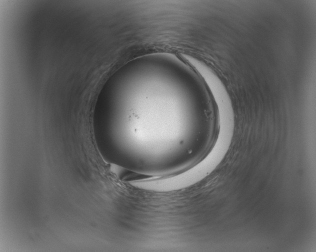 X0000070181057200606091501