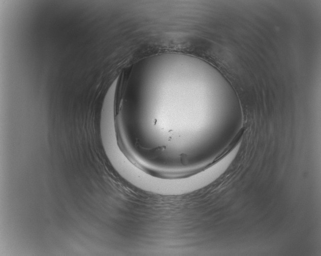 X0000070181058200606091501