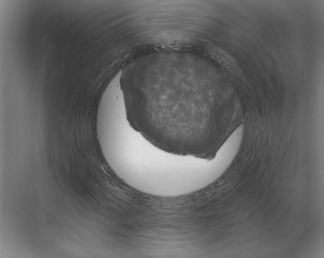 X0000070181060200606091501